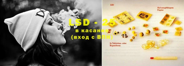 ГАЛЛЮЦИНОГЕННЫЕ ГРИБЫ Куйбышев