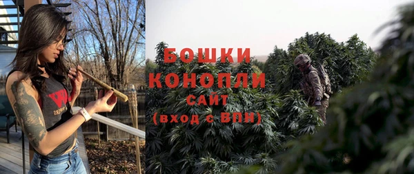 ГАЛЛЮЦИНОГЕННЫЕ ГРИБЫ Куйбышев