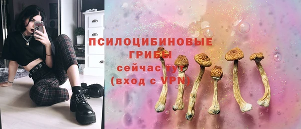 соль ск Кулебаки