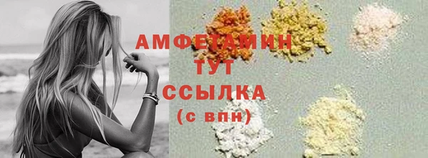 соль ск Кулебаки