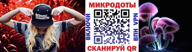 Галлюциногенные грибы Psilocybe  Курск 