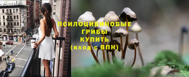 наркотики  MEGA сайт  Галлюциногенные грибы Psilocybe  Курск 