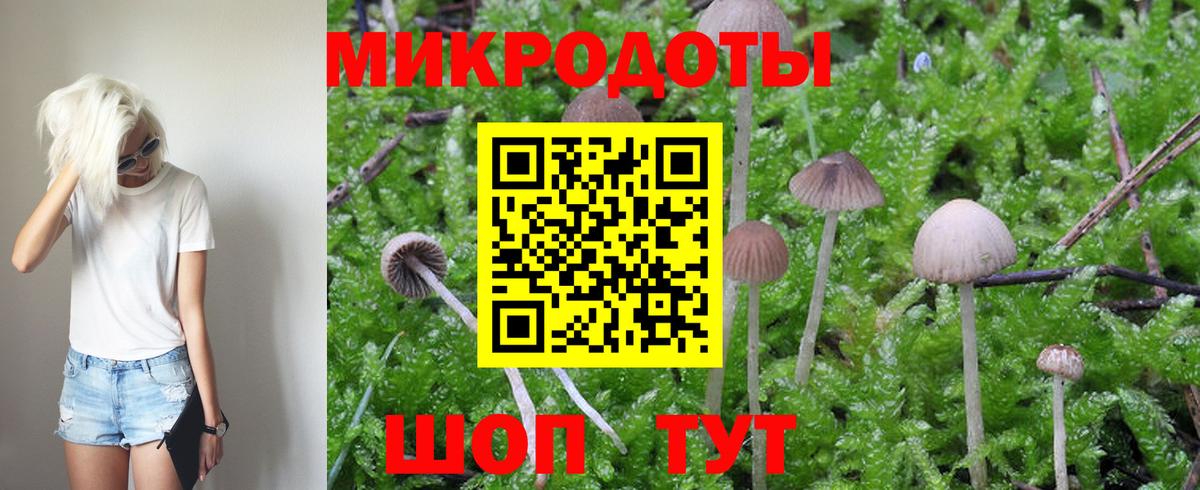 Курск  Псилоцибиновые грибы мухоморы  Вход с VPN 