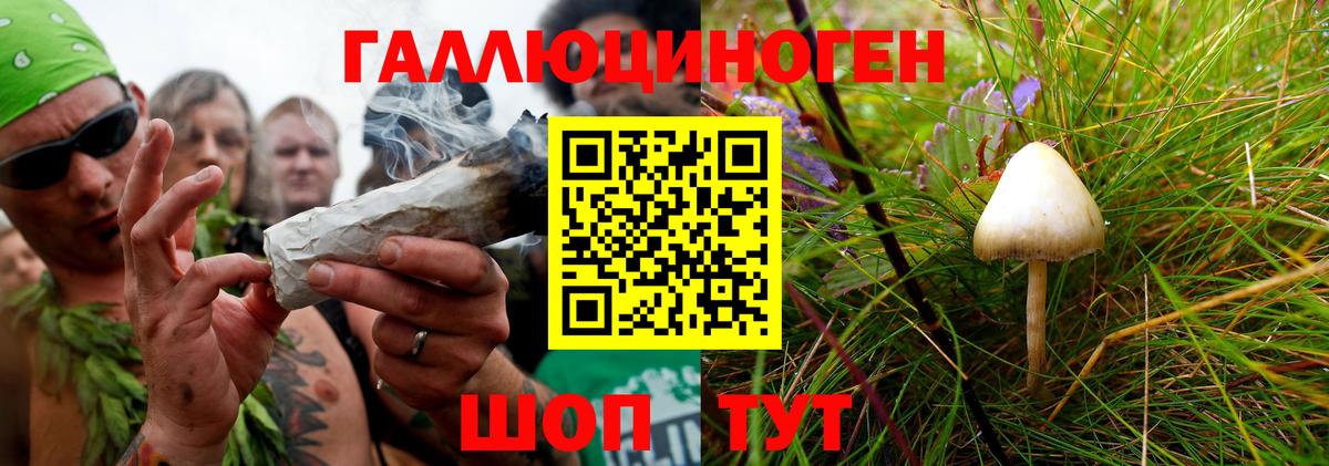 Псилоцибиновые грибы мухоморы  Галлюциногенные грибы Magic Shrooms  Курск 
