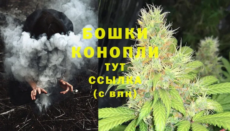 Бошки Шишки THC 21%  закладка  Курск 