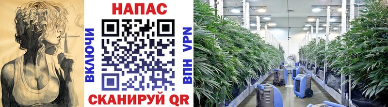 Шишки марихуана VHQ  Курск 